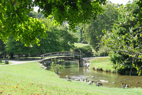 Close to Home, Far from Ordinary:  Maryville: More than a pass-through town