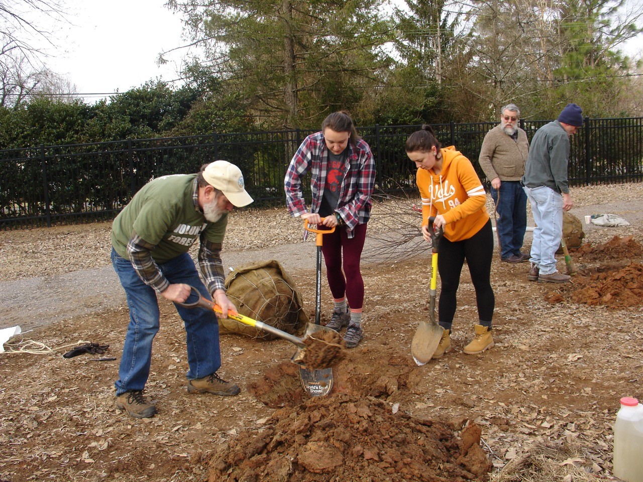 Trees Knoxville aids landmark Sequoyah Hills ash trees Knox TN Today