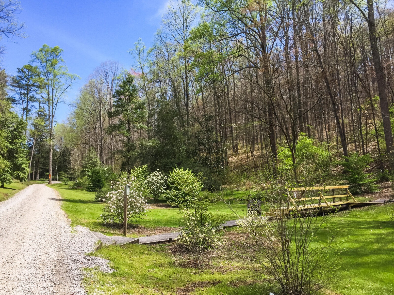 Get Out & Play: Put some ‘spring’ in your step