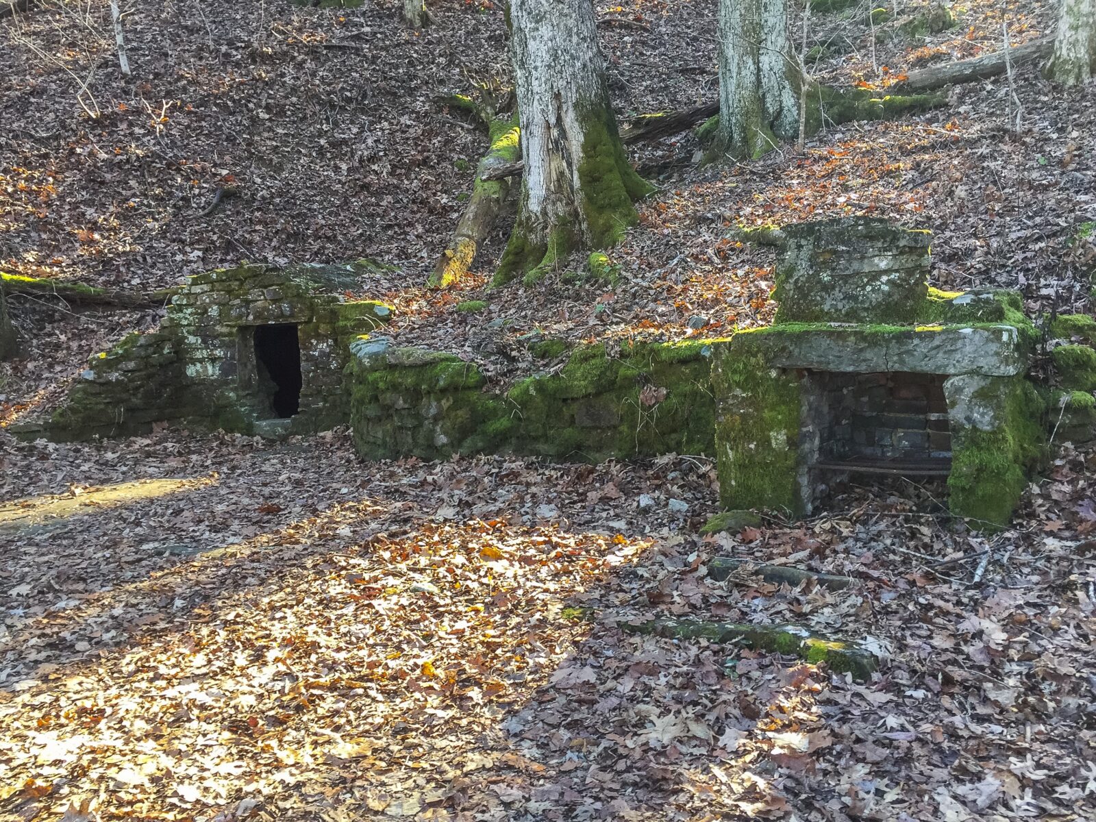 Get Out & Play Frozen Head State Park Knox TN Today