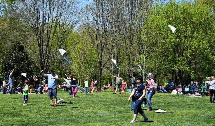 Oh, go fly a kite!