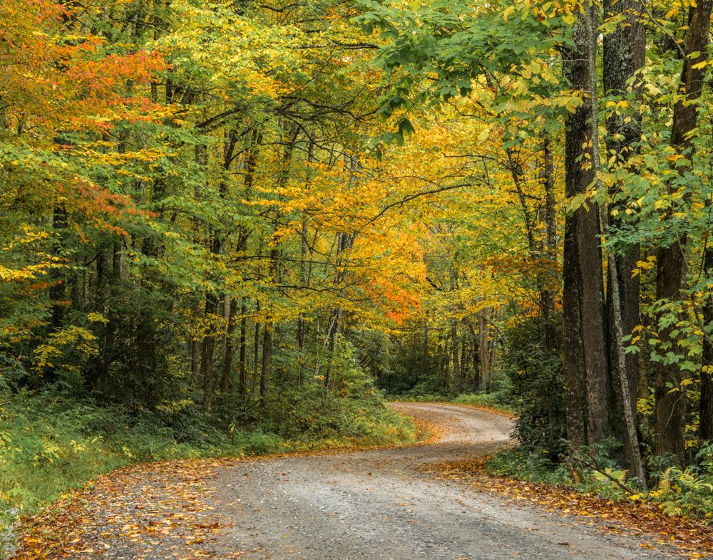 Chris shares his trip to Max Patch Bald