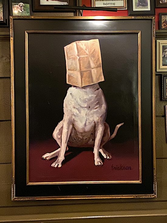 Fun in the mountains