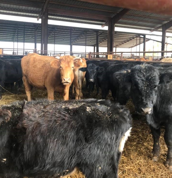 Navel gazing 101: The ‘how’ of news gathering