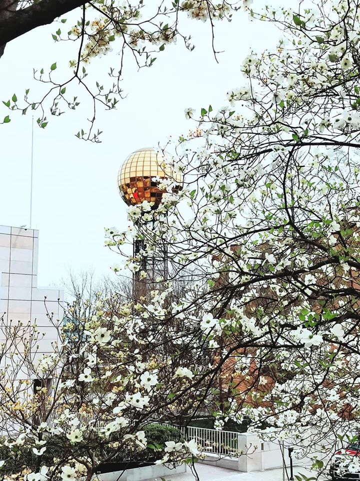 Artbeat: Spotlight on the Arts