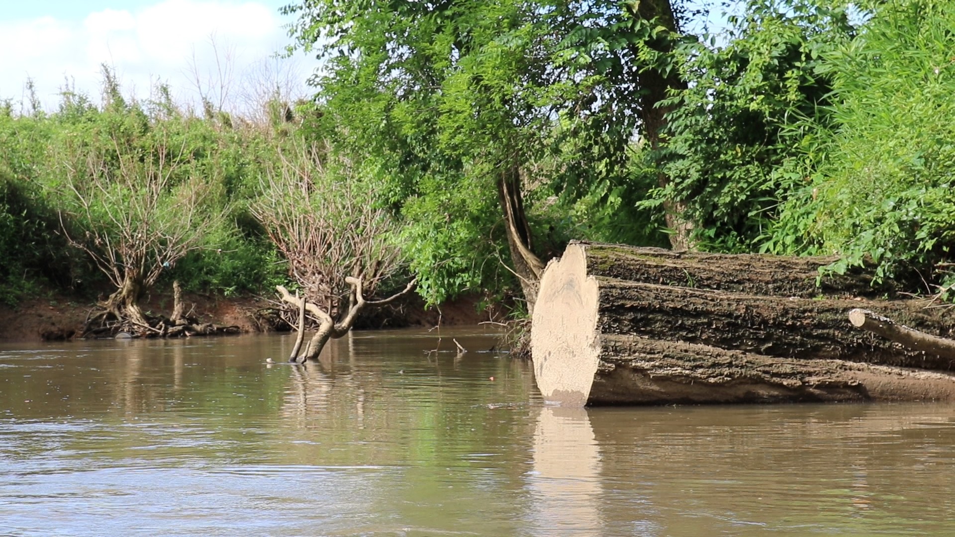 Knox crew clears Beaver Creek flotilla route