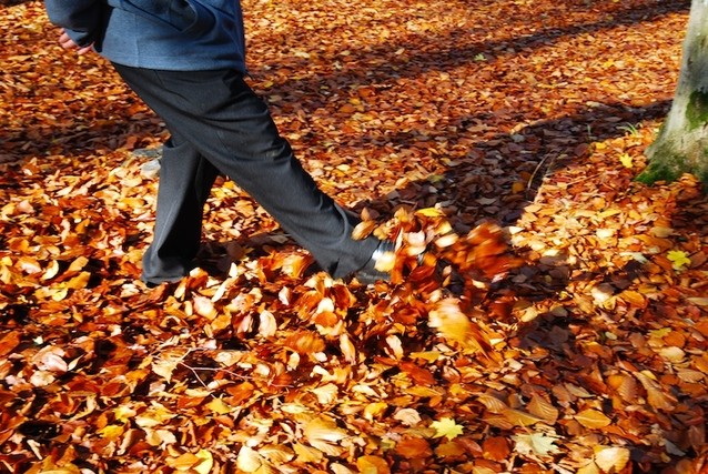 Musings During an October Stroll