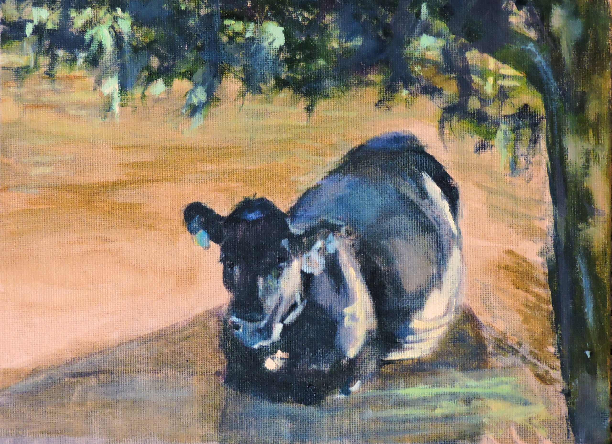 Gotta go, we got cows