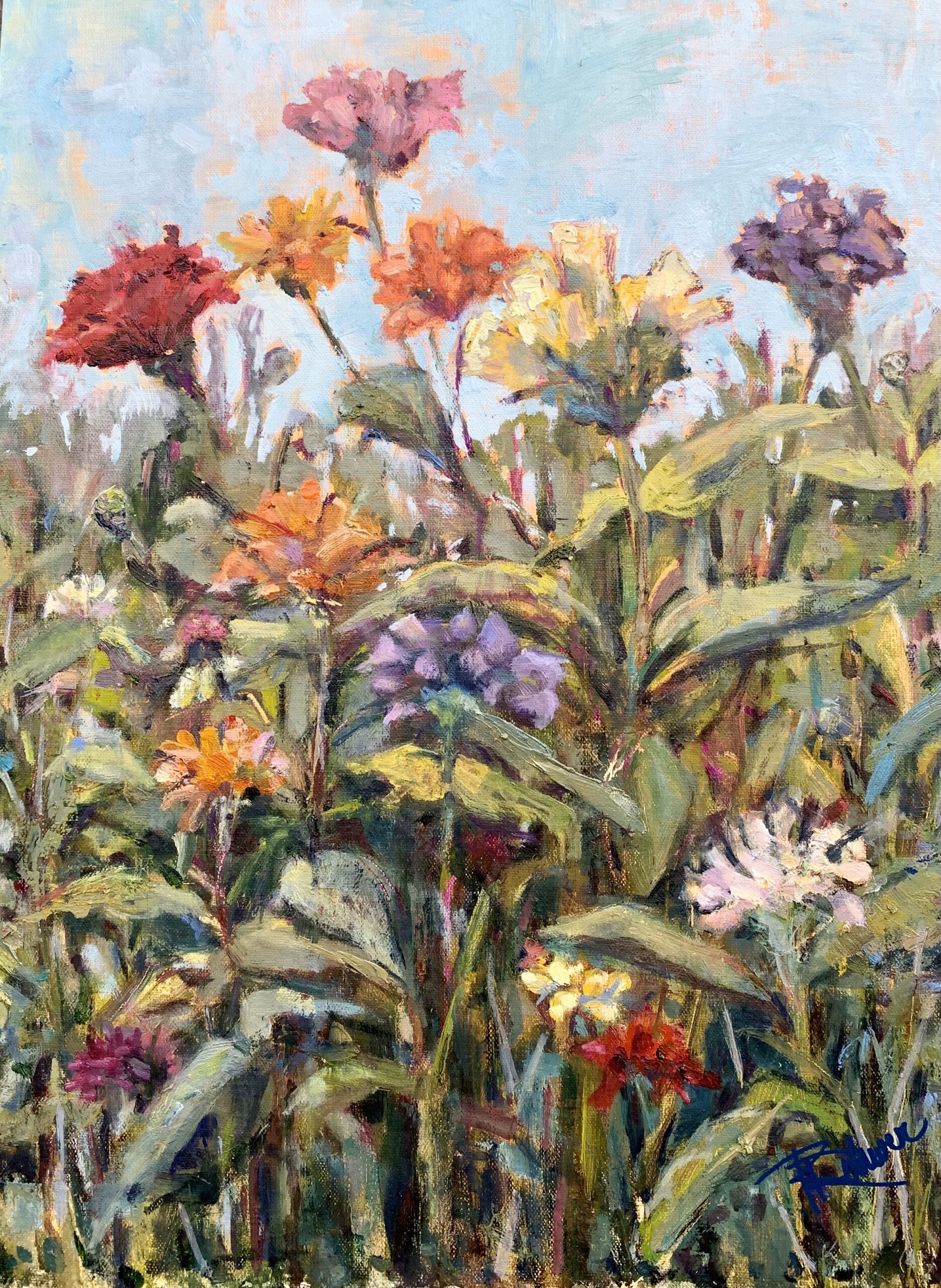 Finding the Zen in zinnias