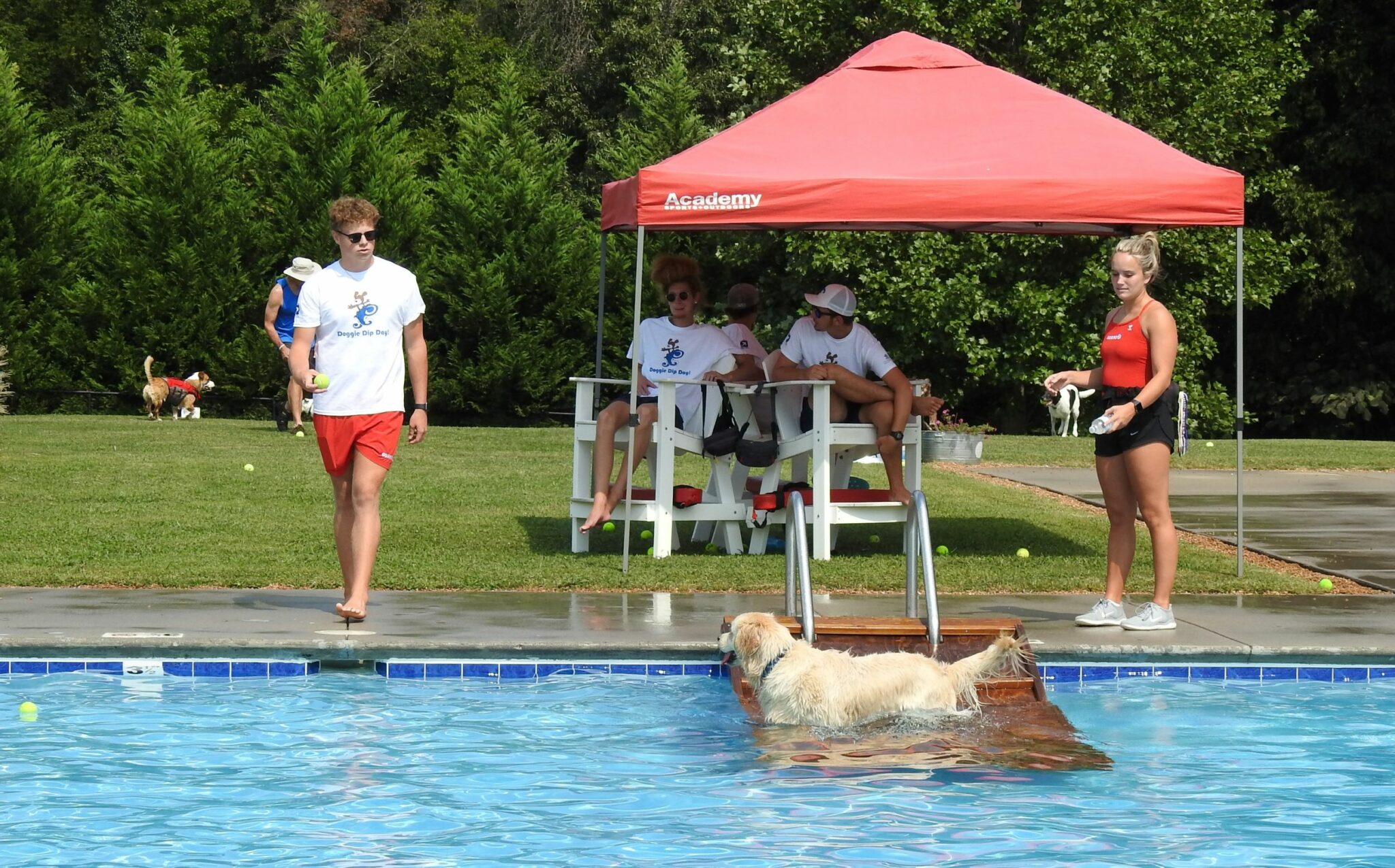 A dog day afternoon at Inskip Pool Knox TN Today