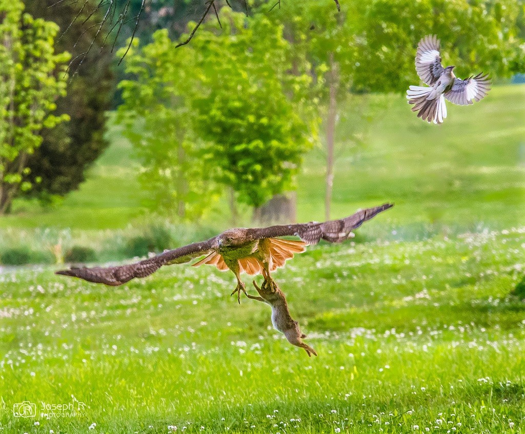 Mailer headed your way