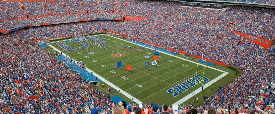 Avoid hostility: Don’t go near the Swamp