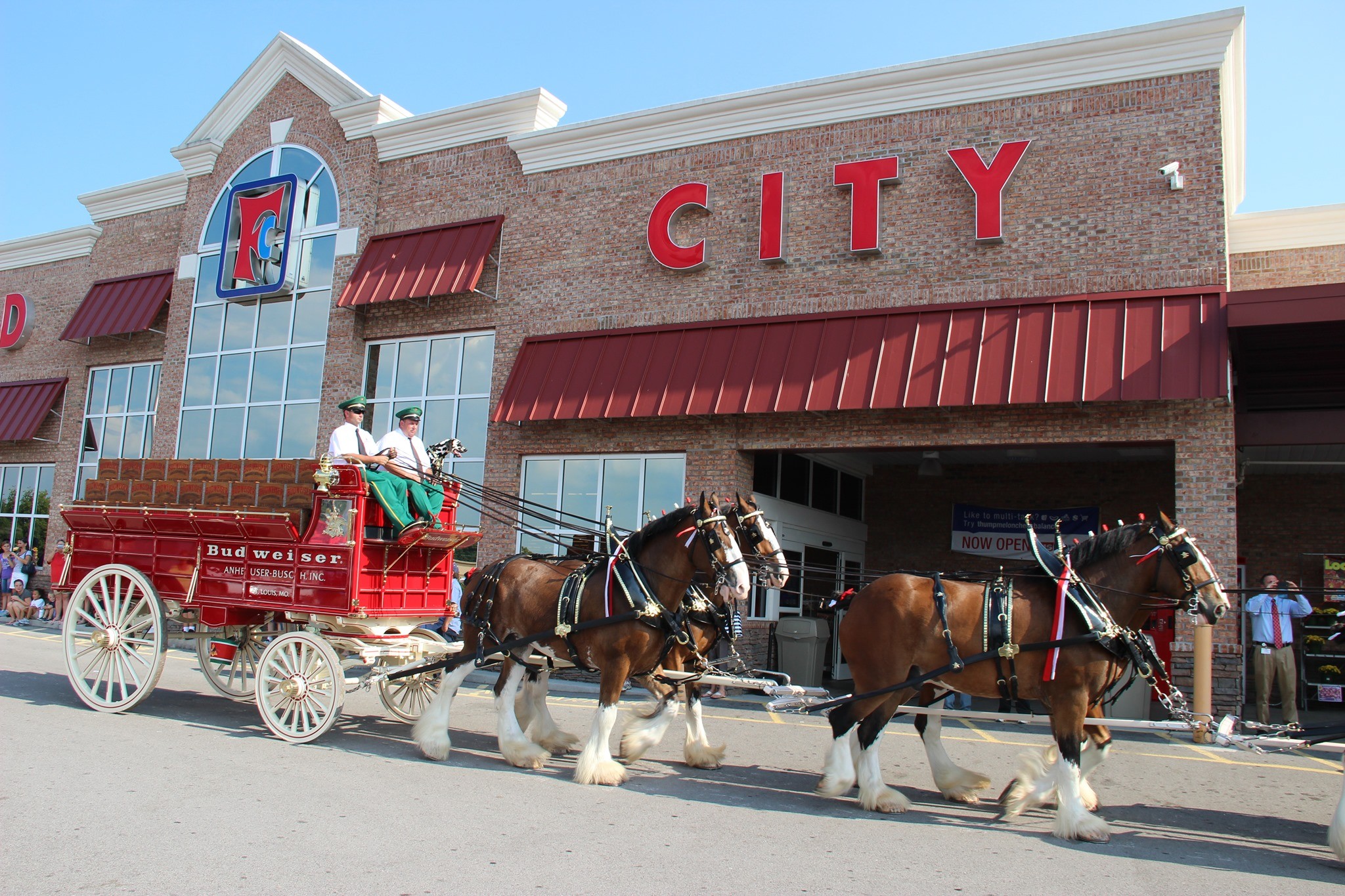 Clydesdales at Maryville Food City Dec. 2