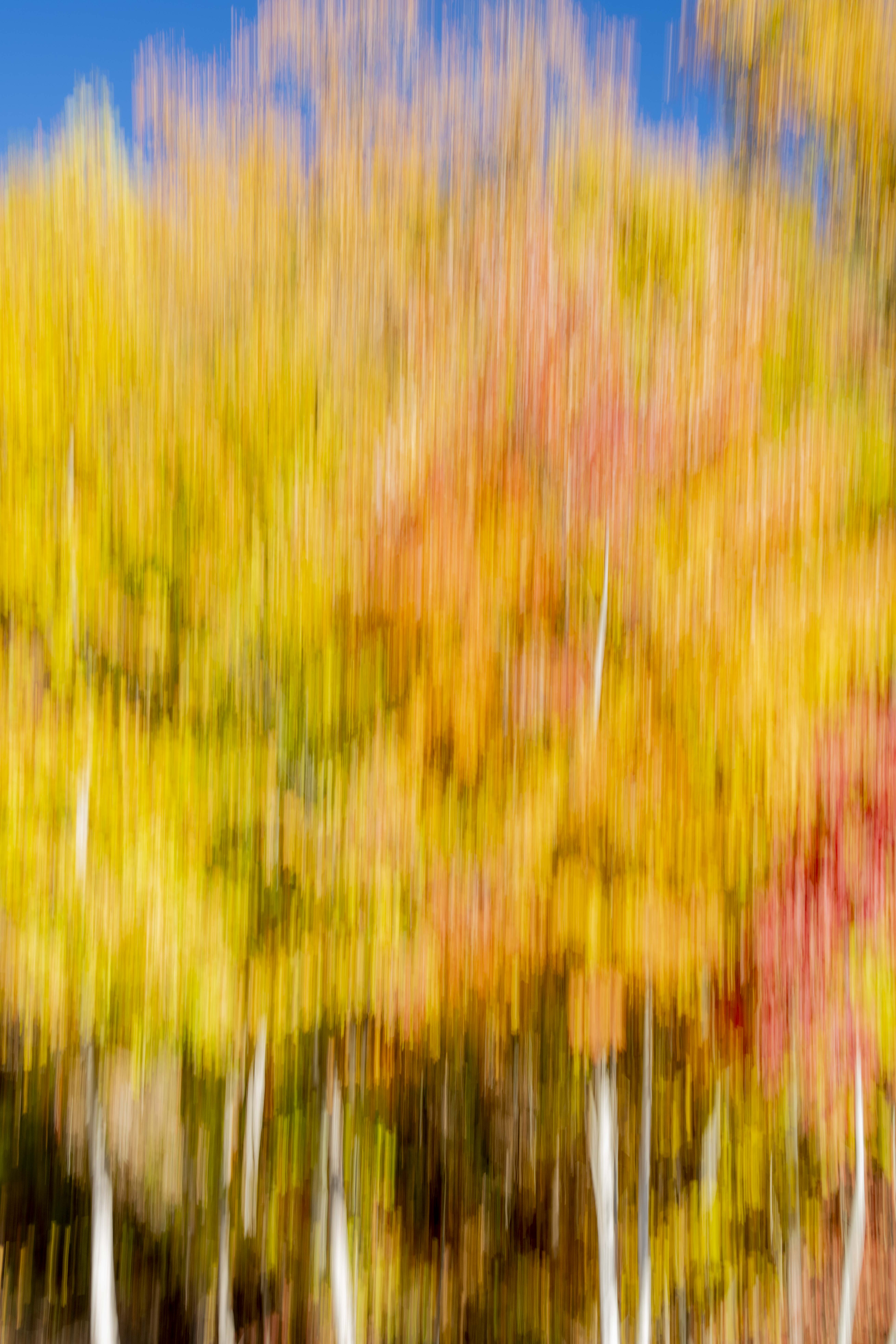 Shape shifting focus