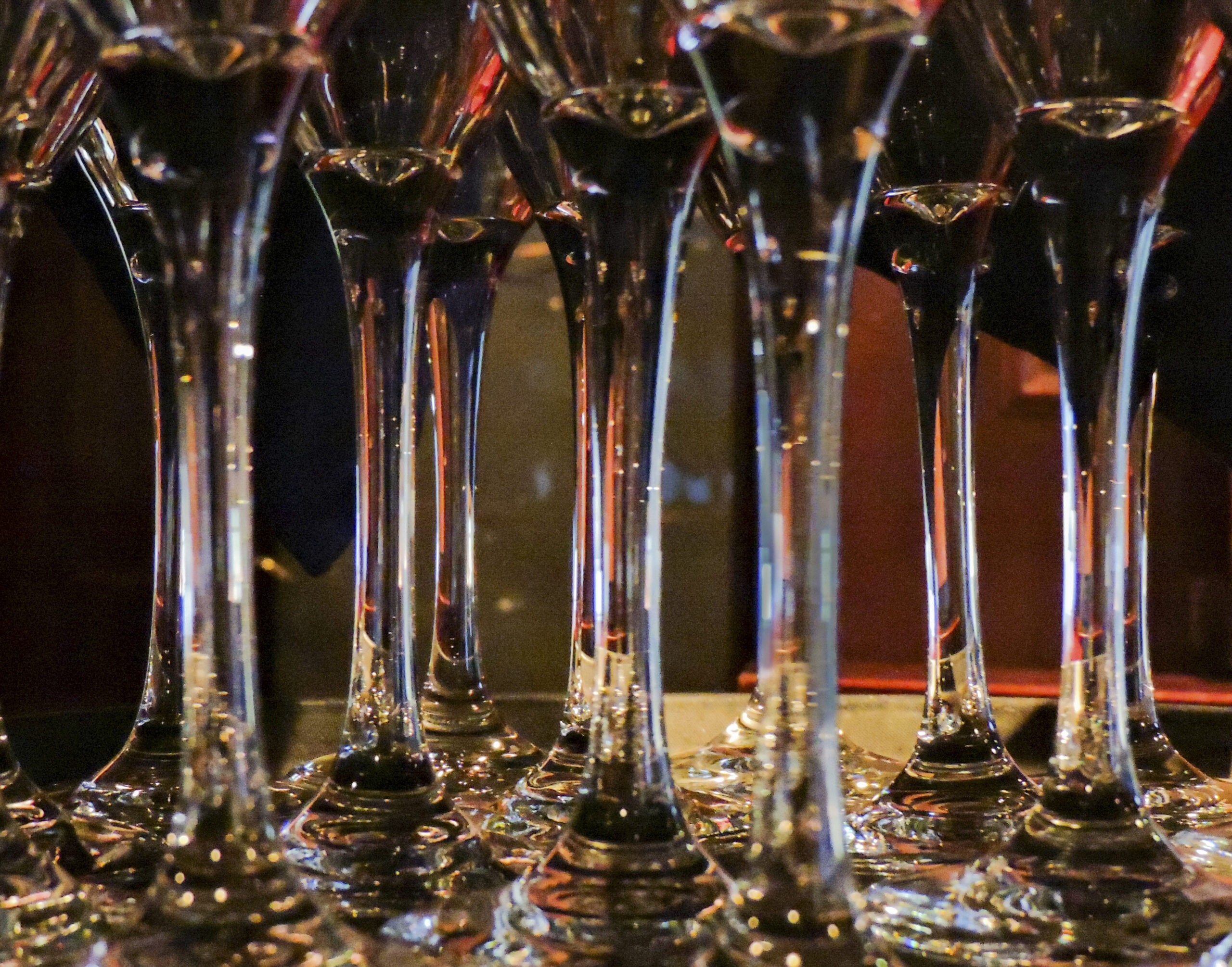 A toast of New Year’s wishes