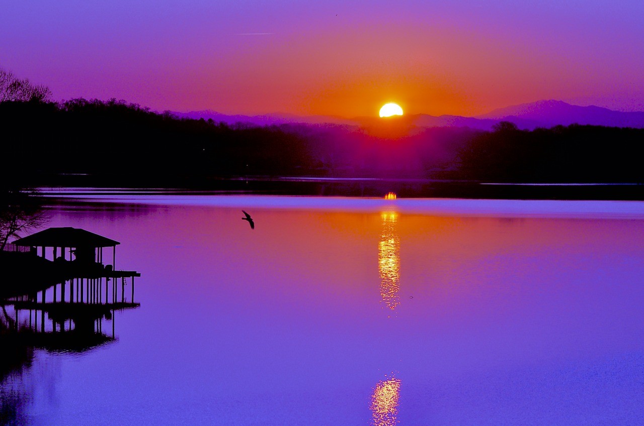 Friday bird watch … sort of