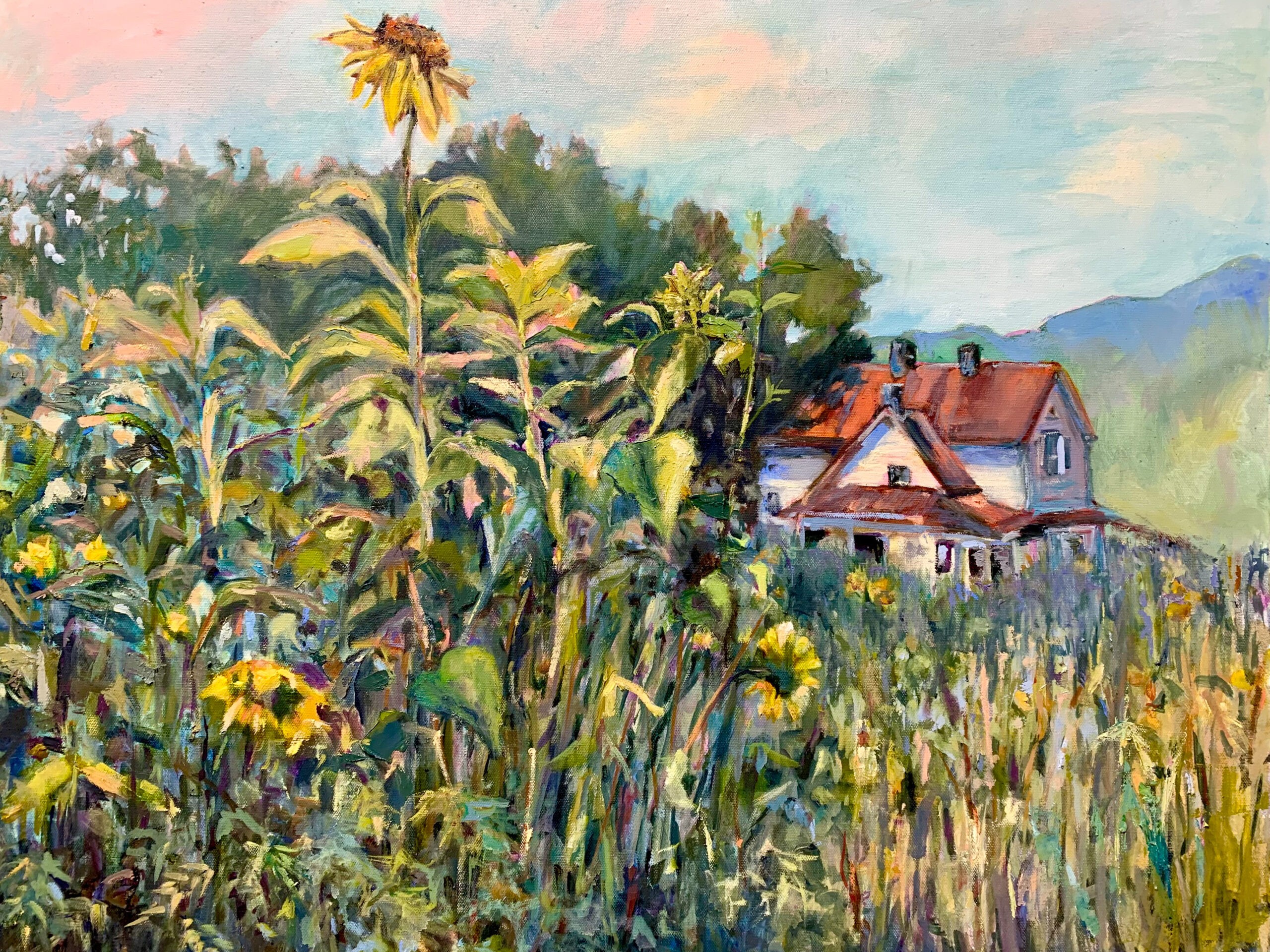 A vision of sunnier days