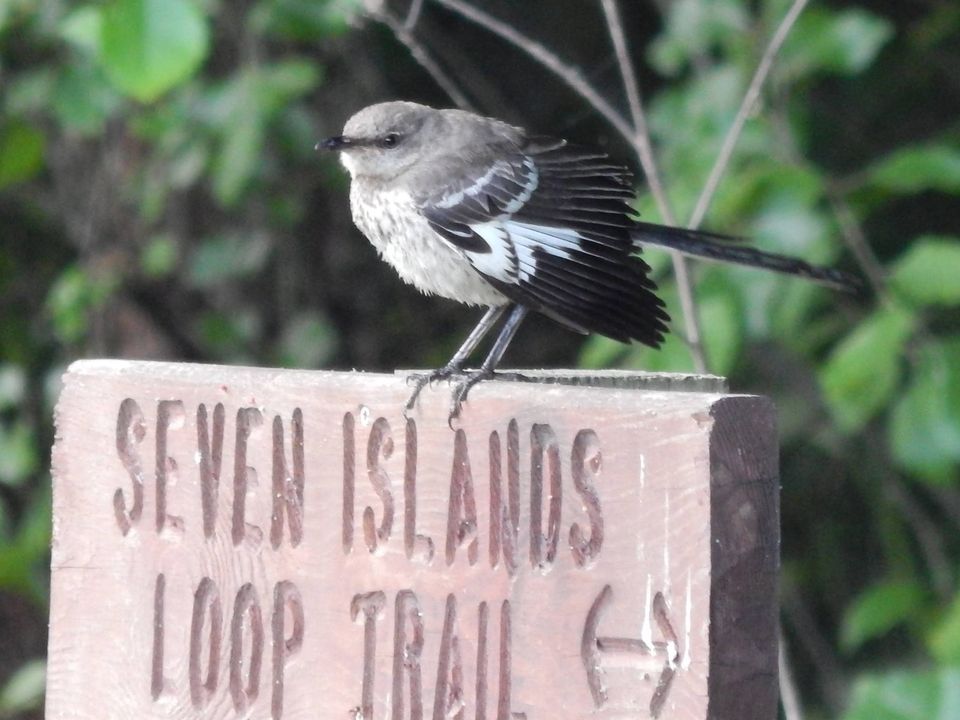 An overview of Seven Islands Park