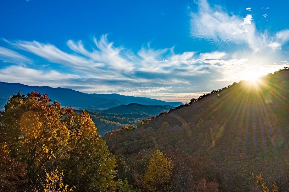 Fall Buffet - Knox TN Today