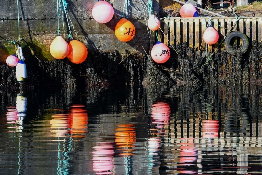 Reflections - Knox TN Today