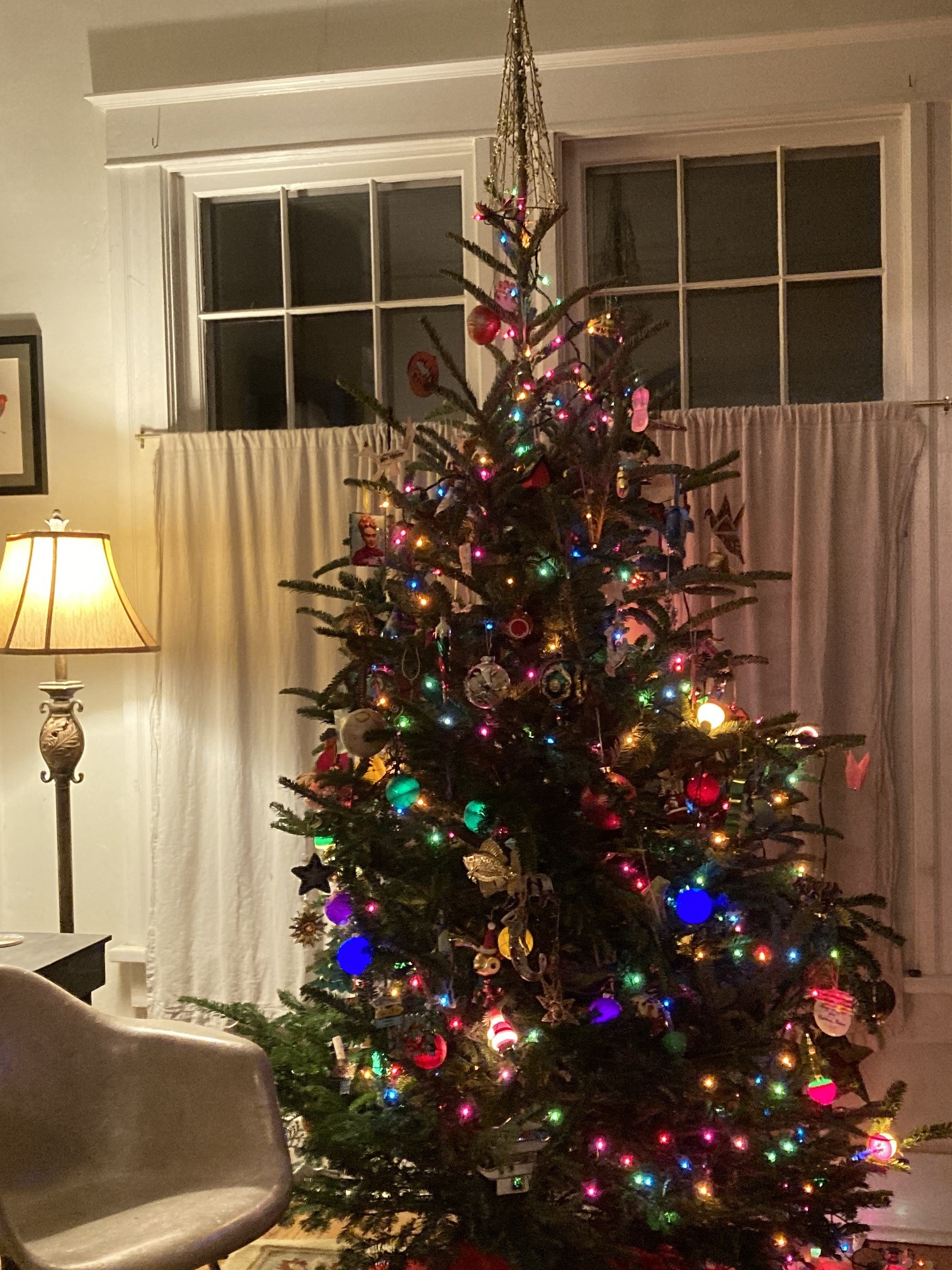 Does anyone ever make money selling trees?