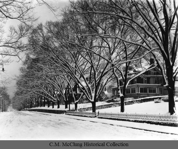 It’s snowy out there! Stay busy at the library