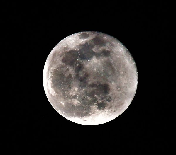 St. Paddy, Trey’s Snacks, FC Arts & more