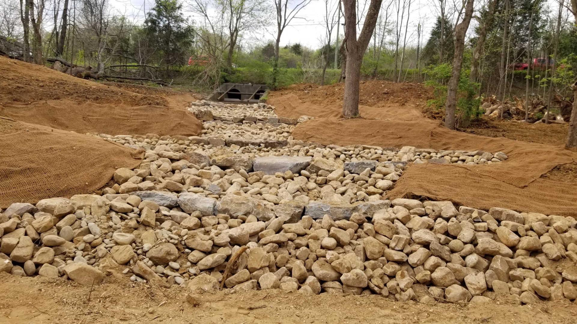 Collier Preserve is open (and buzzing)