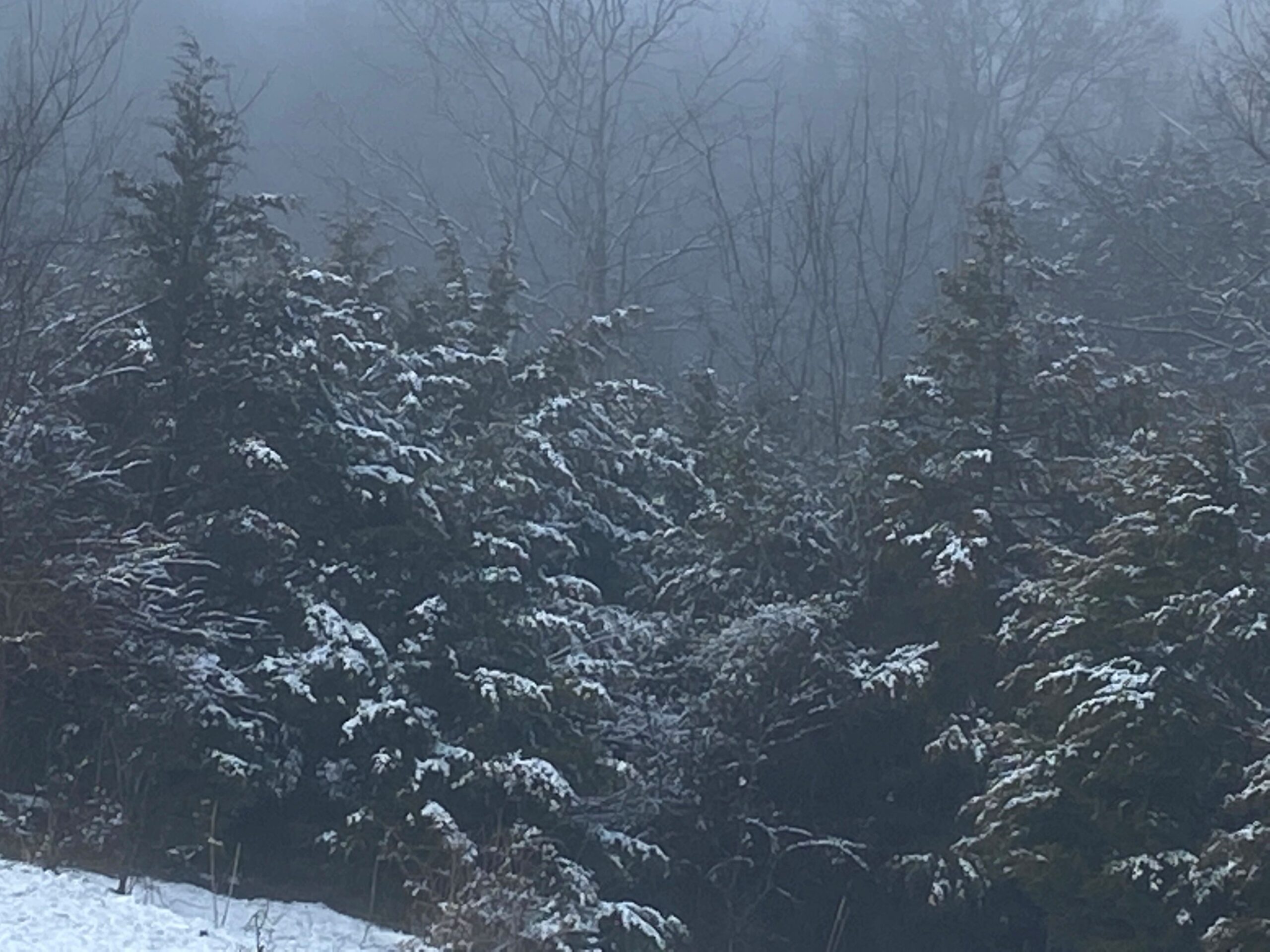 Preparing for a power outage