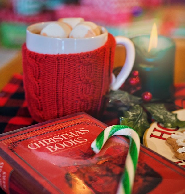 Linda Sullivan recommends holiday reads