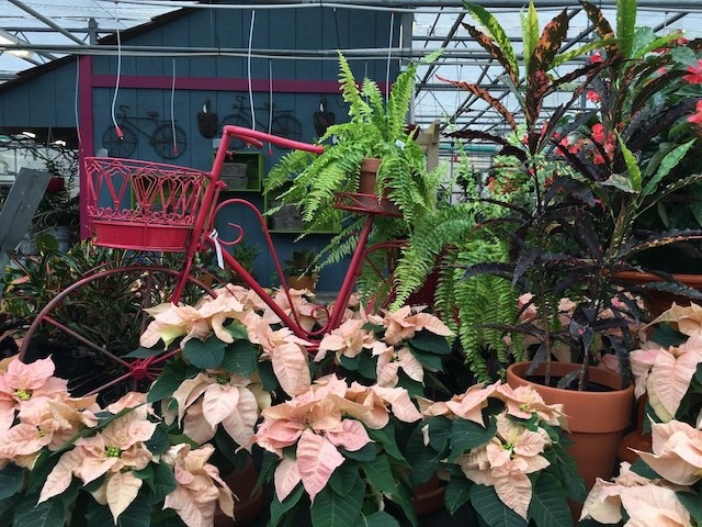 Stanley’s Sunday Holiday Marketplace begins Dec. 3