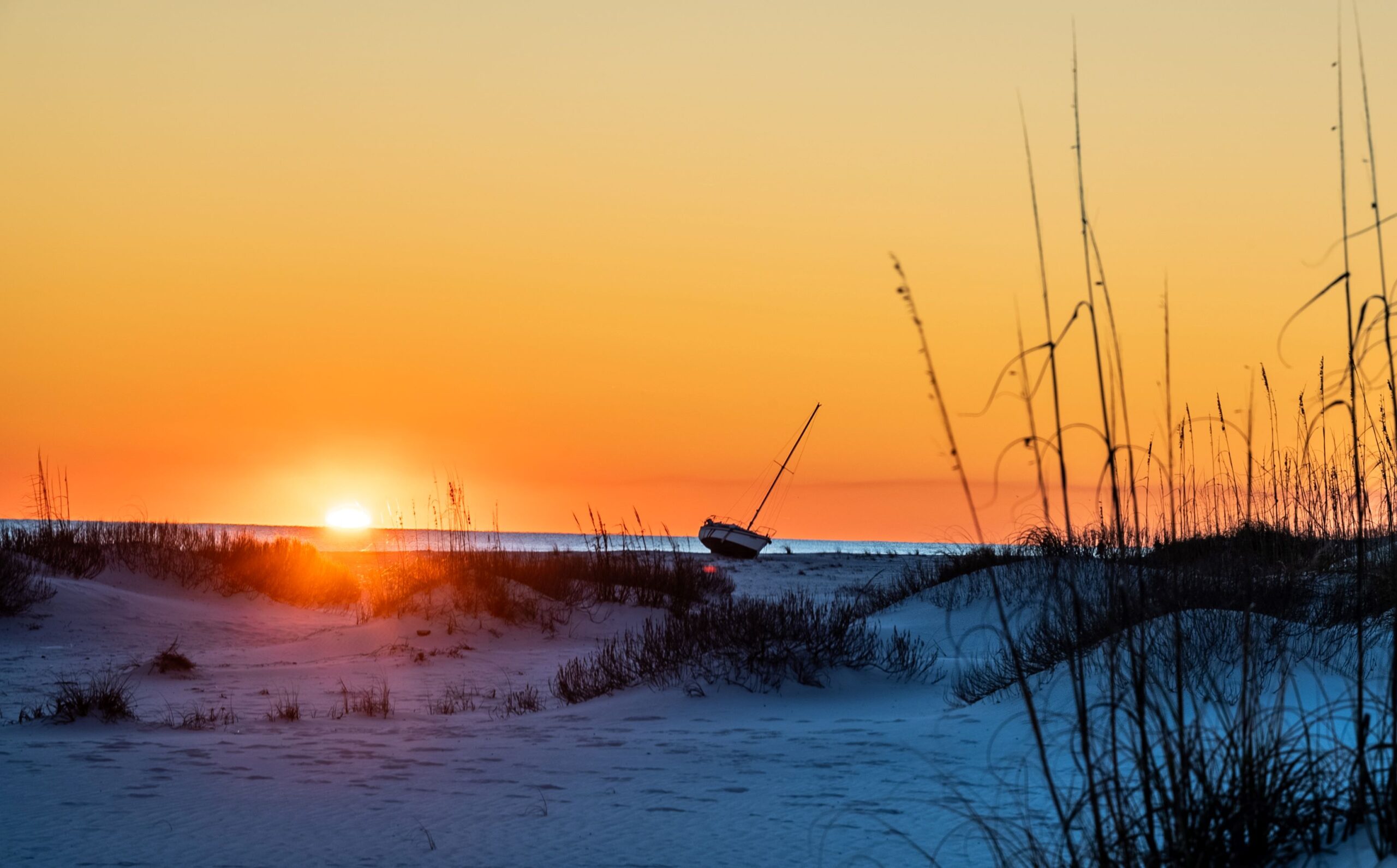 Sunset on summer