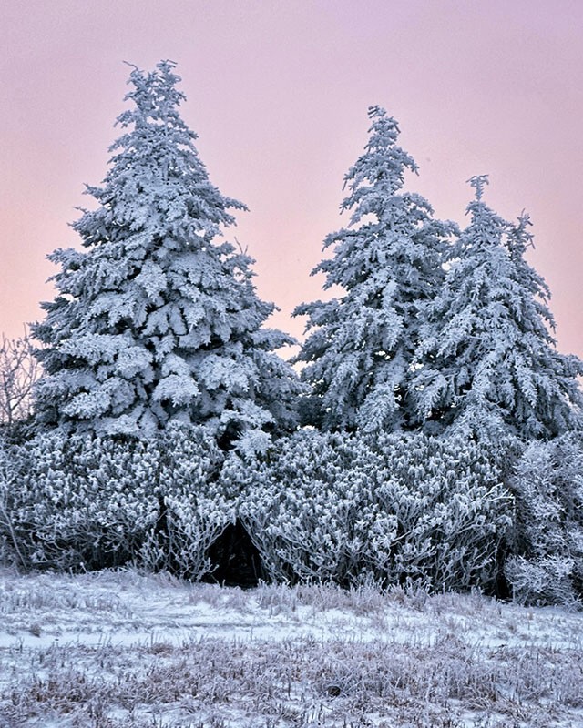 Winter pastels in the Southern Appalachians