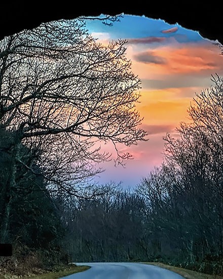 ‘Tunnel Vision’ by the HoneyBadger