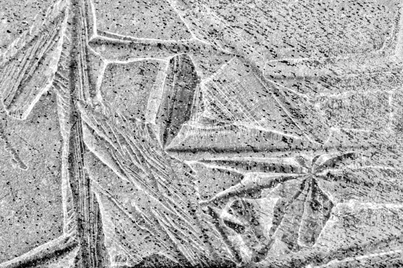 Ice See
