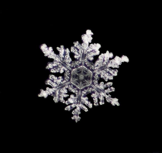 Kris Light captures ‘Jewels from the Sky’