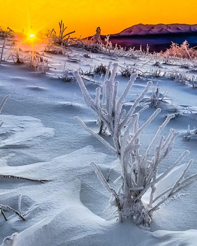 Pride and Tradition: Appalachian Trail style