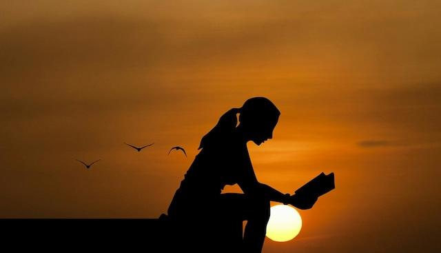 Linda Sullivan challenges reality with this week’s novels