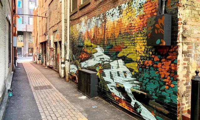Six new murals on display downtown