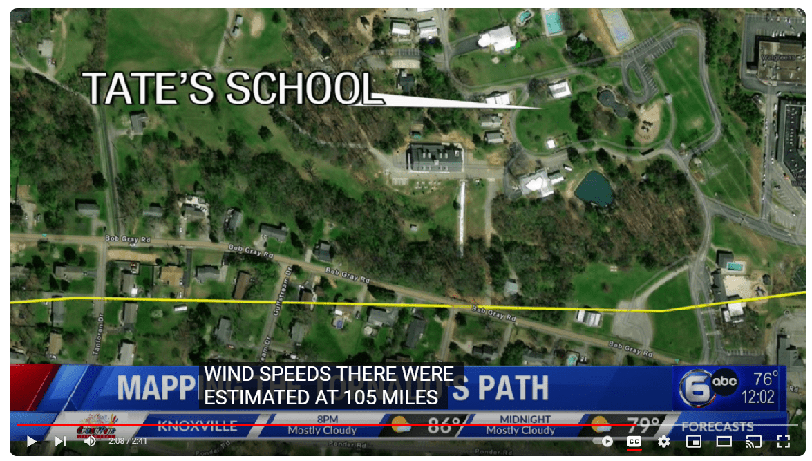 Help Tate’s ‘Grow the Grove’