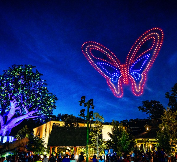 Food City forms partnership with Dollywood