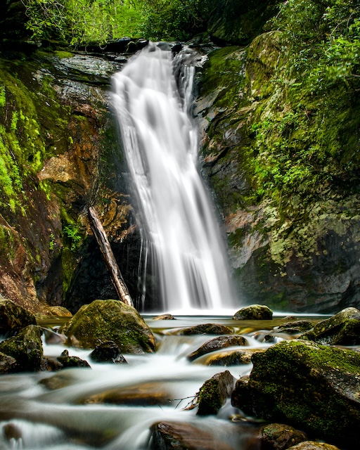 Does Badger’s picture tell whole story?