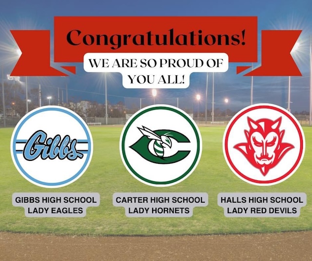 Carter, Gibbs, Halls softball at state tournament