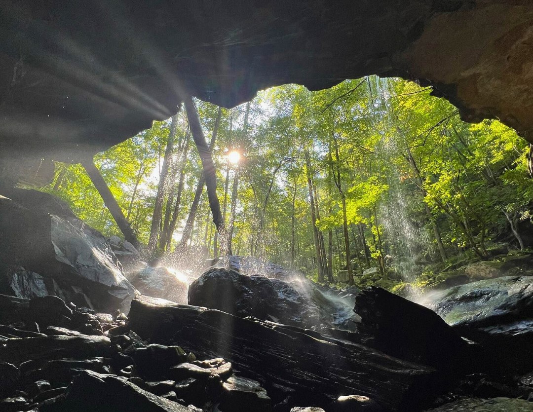 Spring festivals, events at TN state parks