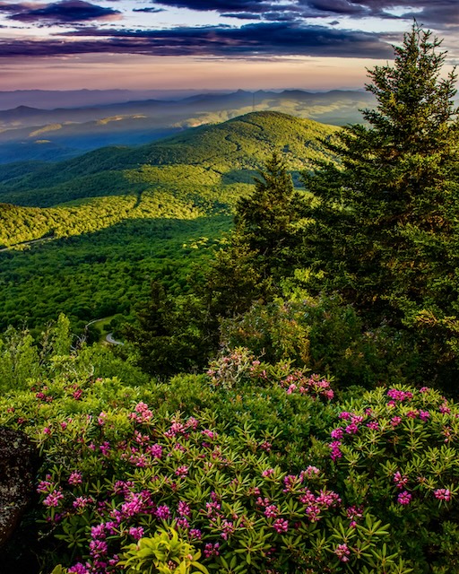 Honey Badger gets the extraordinary sunset