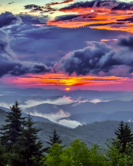 What living free means to the Honey Badger