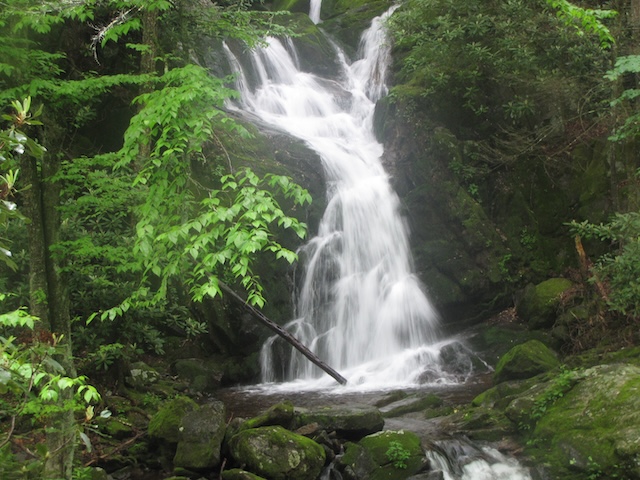 Big Creek Trail offers delightful mountain hike