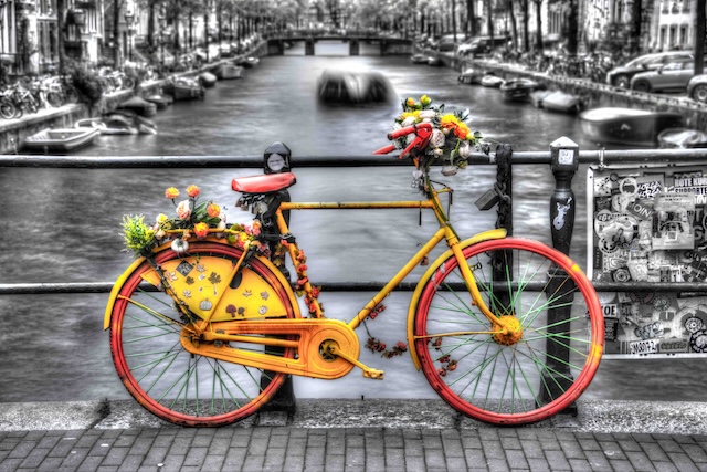 'One in a Million' by Chris S. Rohwer - Knox TN Today