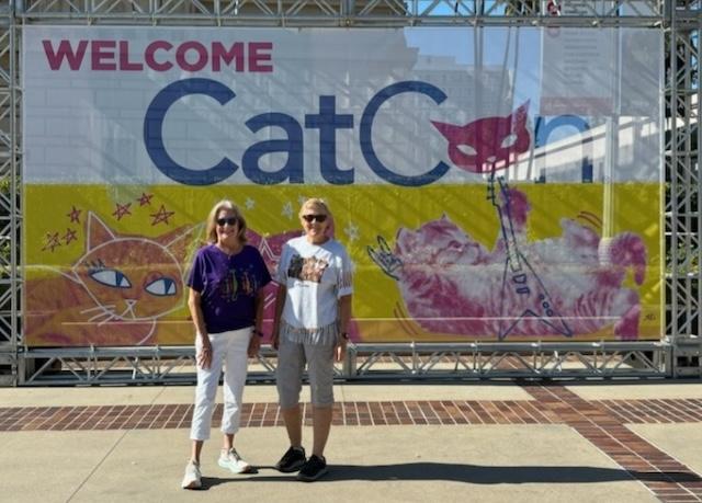 Cat Con is for everyone: Not just for ‘Crazy Cat Ladies’