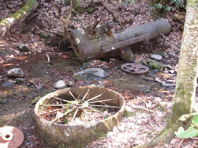 Grapeyard Ridge Trail: Flowers & more